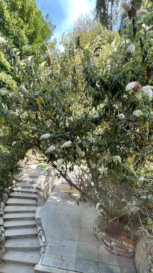 Au Jardin De La Basilique Apartment Булон сюр Мер Екстериор снимка