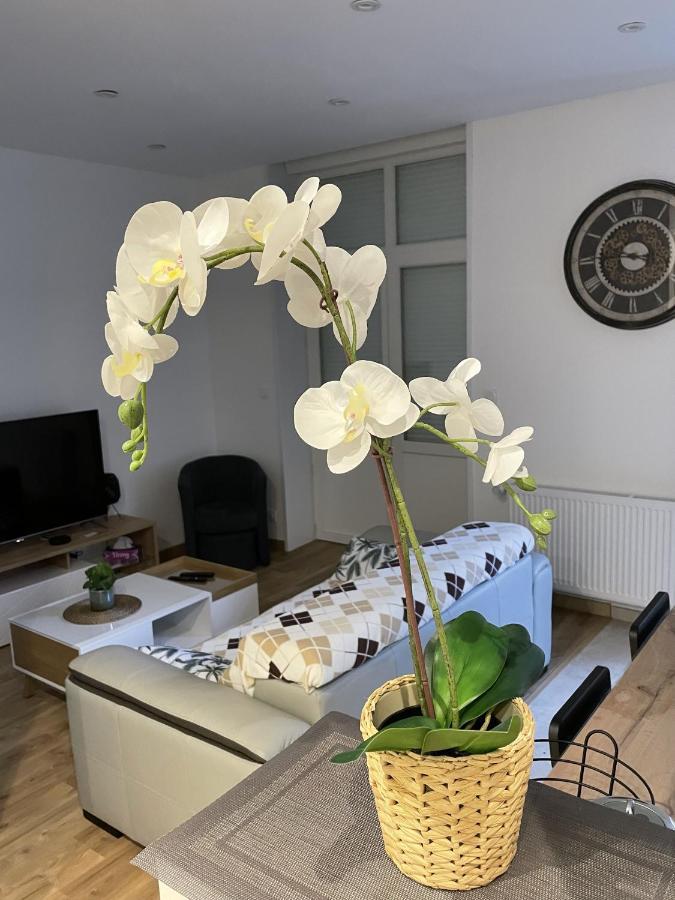 Au Jardin De La Basilique Apartment Булон сюр Мер Екстериор снимка