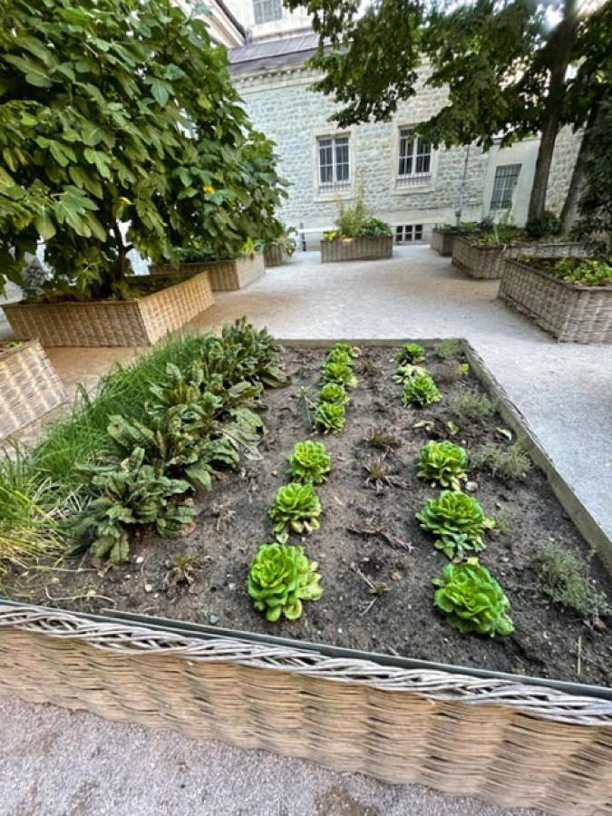 Au Jardin De La Basilique Apartment Булон сюр Мер Екстериор снимка